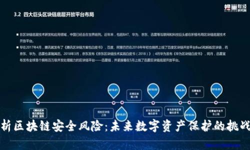 深入解析区块链安全风险：未来数字资产保护的挑战与应对
