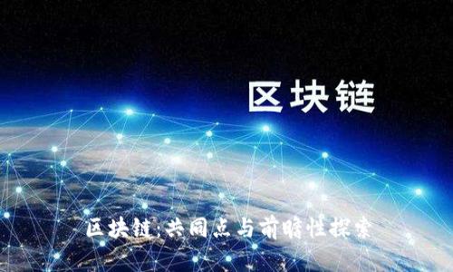 区块链：共同点与前瞻性探索