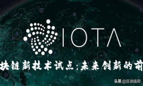 探索区块链新技术试点：未来创新的前沿领域