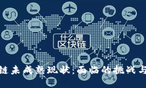 揭示区块链未成熟现状：面临的挑战与未来机遇