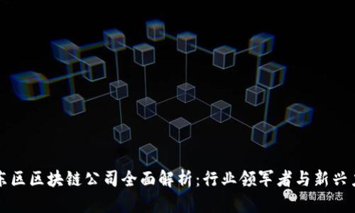 浦东区区块链公司全面解析：行业领军者与新兴力量