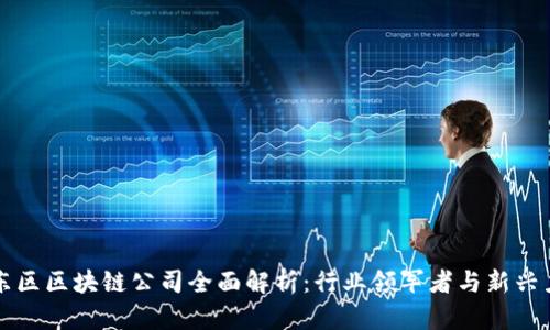 浦东区区块链公司全面解析：行业领军者与新兴力量