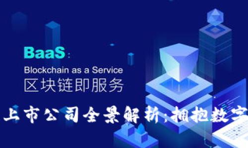 海南区块链上市公司全景解析：拥抱数字经济的未来
