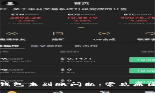 如何解决盛钱包未到账问题：常见原因及解决办法