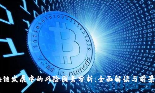 区块链发展中的风险因素分析：全面解读与前景展望