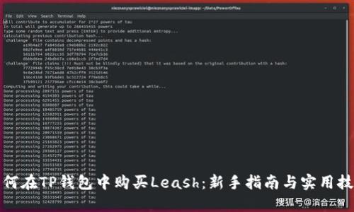 如何在TP钱包中购买Leash：新手指南与实用技巧