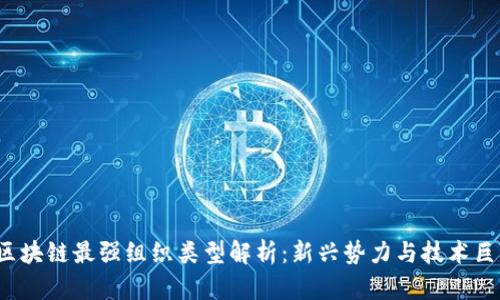 2023年区块链最强组织类型解析：新兴势力与技术巨头的对决