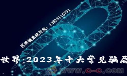 揭秘区块链世界：2023年十大常见骗局及防范指南