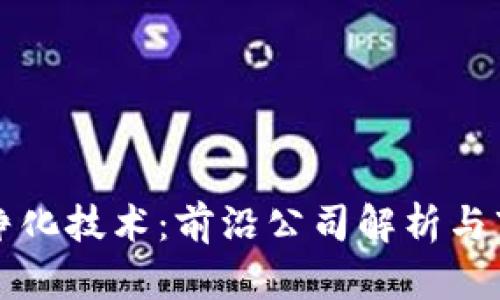 区块链净化技术：前沿公司解析与市场趋势